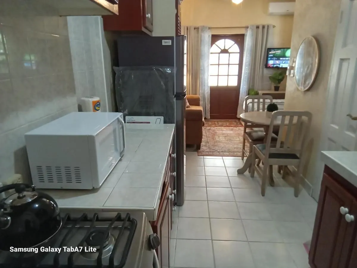 Jazz Apartment 2 基督教堂市